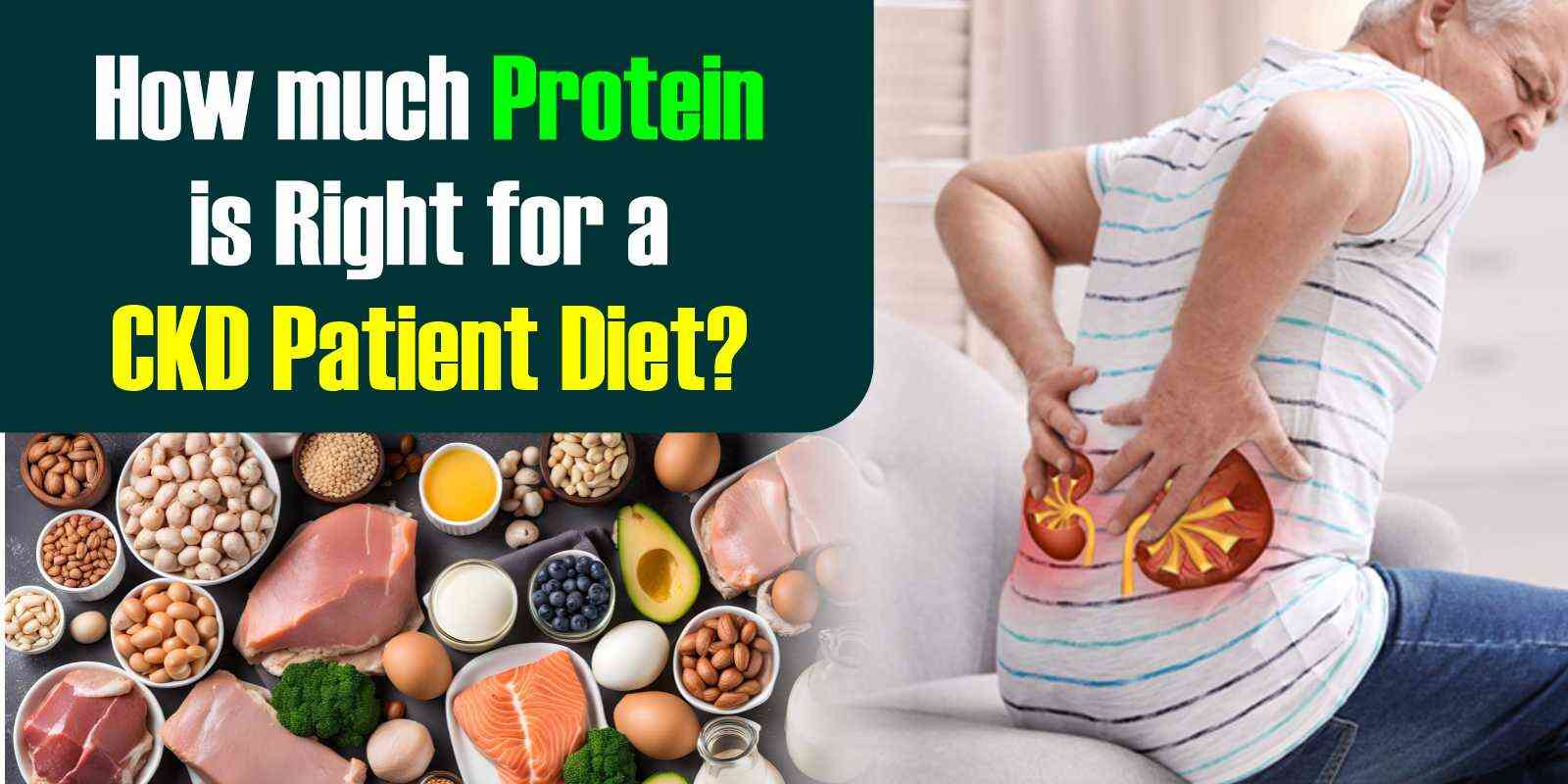 How much Protein is Right for a CKD Patient Diet